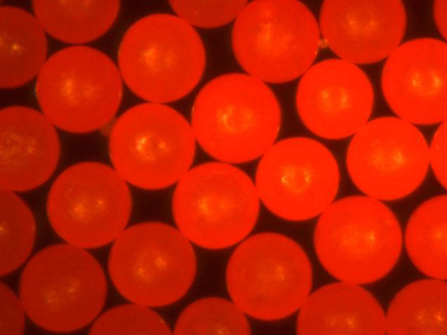 Fluorescent Green Polyethylene Microspheres, Beads, Particles - Density of  1.00g/cc for Flow Visualization and PIV - Diameter 10micron to 1400um  (1.4mm)