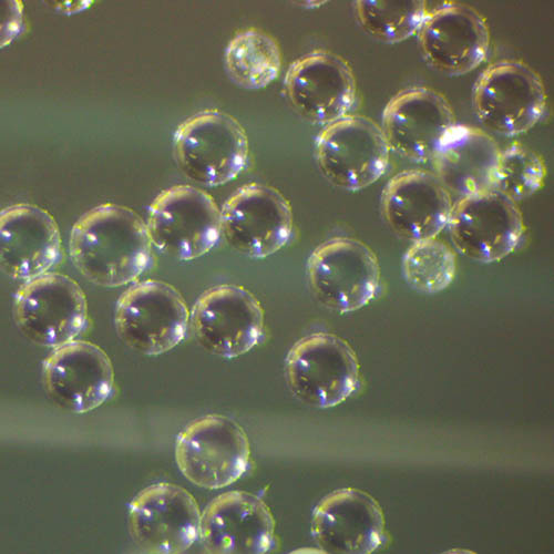 Polystyrene Microspheres, Beads, Particles - Crosslinked Polystyrene ...