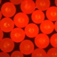 <strong><strong><strong><strong><strong>Fluorescent Red Polyethylene Microspheres</strong></strong></strong></strong></strong> Density 1.20g/cc Bright Fluorescent Red Particles 605nm Peak